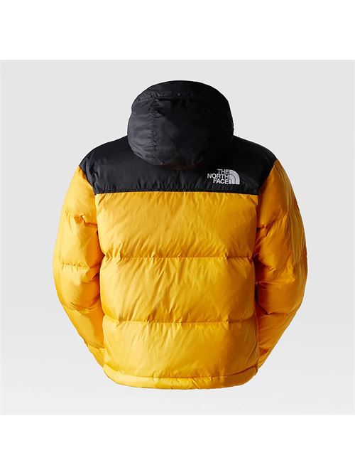 THE NUPTSE THE NORTH FACE | NF0A3C8D/ZU31